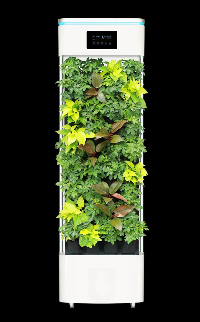Air-Purifying Options