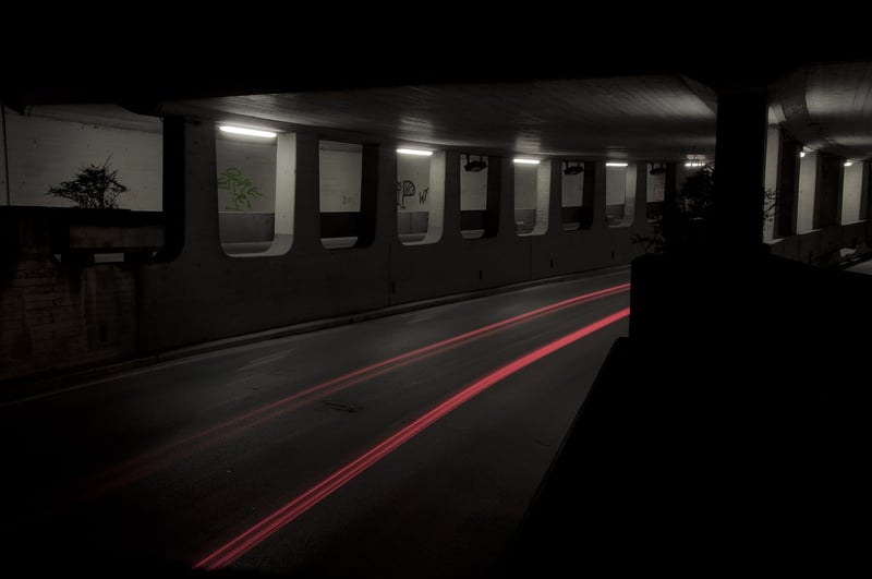 Maximizing Light Exposure