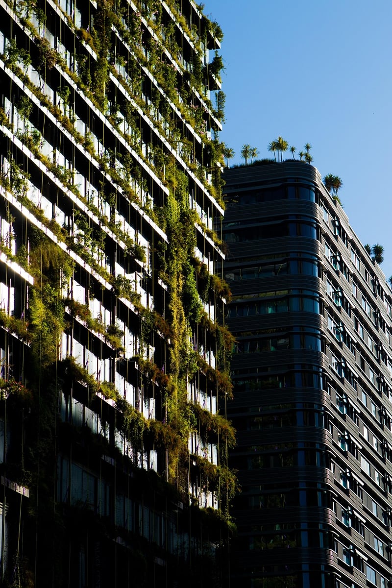 Vertical Garden Plants
